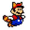 Raccoonmario-3-22